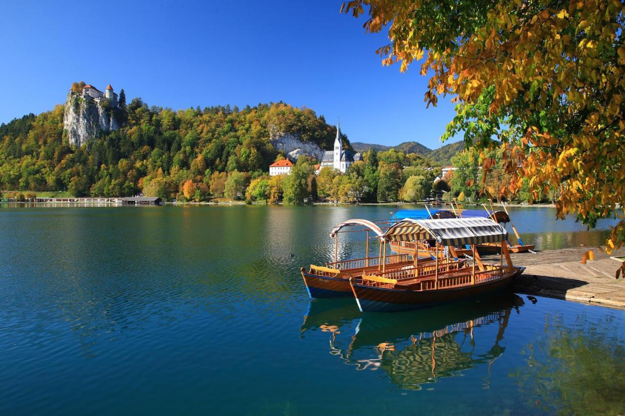 Vila Mila Bled Kültér fotó
